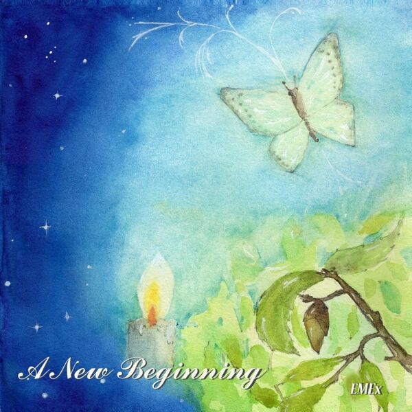 Cover art for A New Beginning
